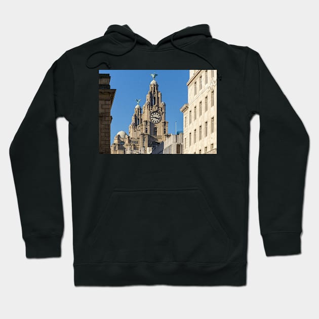 Royal Liver Building, Liverpool Hoodie by millroadgirl